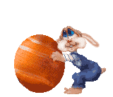 Gif animé Pâques lapin